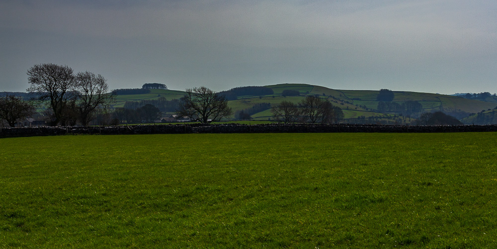Johnson's Knoll. Johnson's Knoll.